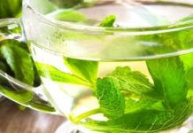 Як м’ята впливає на організм: корисні властивості та застереження