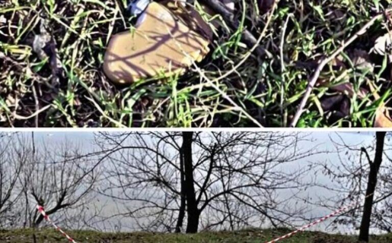 У Запоріжжі поблизу берегової лінії знайшли протипіхотну міну