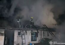 У Павлоградському районі горів дах та речі домашнього вжитку всередині літньої кухні