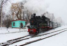 УЗ запрошує українців у ретротур найдовшою вузькоколійкою Європи: де знайти квитки