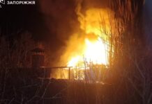 У Запорізькому районі зайнявся дачний будинок