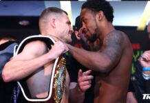 Берінчик поступився Девісу технічним нокаутом та втратив пояс WBO в легкій вазі: фото і відео