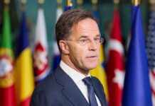 Рютте про дедлайн Келлога у 180 днів щодо війни в Україні: я не можу гарантувати