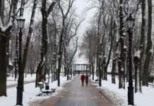 Київ засипає снігом: що відбувається на вулицях міста (фото)