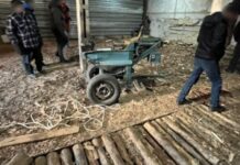 На Дніпропетровщині правоохоронці викрили злочинну організацію, яка займалася незаконною вирубкою лісу у промислових масштабах та спричинила мільйонних збитків