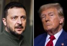 “Абсурд і цинізм”. Як Європа реагує на нападки Трампа на Зеленського