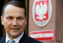 Сікорський запропонував РФ відмовитися від допомоги Ірану й КНДР після її вимог щодо поставок зброї Україні