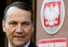 Сікорський назвав «найкращу» гарантію безпеки для України