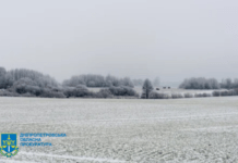 Прокурори на захисті державних інтересів: на Дніпропетровщині стягнуто понад 40 млн грн за користування землею