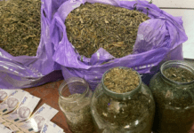 Запорізькі поліцейські вилучили у містянина майже п’ять кілограмів канабісу