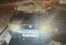 У Запоріжжі внаслідок ДТП загинула пішохідка: поліція розшукує свідків