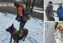 Лежала в полі: пошукова собака допомогла врятувати 69-річну жінку, яка зникла у Синельниківському районі