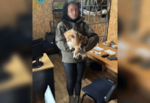 Мешканка Дніпропетровщини в стані наркотичного спʼяніння намагалася перевезти ухилянта за кордон