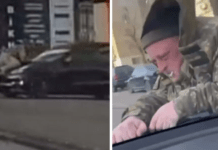 Після конфлікту з ТЦК водій Tesla збив військового та «прокатав» його на капоті: офіційний коментар