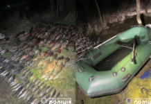 Улов майже на мільйон гривень: криворізькі правоохоронці задокументували факт браконьєрства