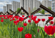 У Дніпрі та Кривому Розі 12 березня зафіксували температурні рекорди