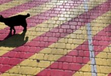 У Києві зафіксували три температурні рекорди – метеорологи