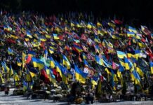 В Україну повернули тіла 909 загиблих військових – Координаційний штаб