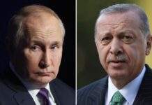 Ердоган переговорив з Путіним, Туреччина готова стати майданчиком для мирних переговорів