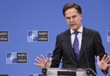 Рютте закликав Зеленського налагодити стосунки з Трампом