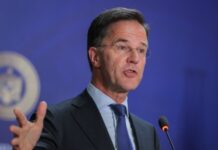 Рютте: НАТО завдасть «нищівного удару» у відповідь на атаку Росії на країну-члена альянсу