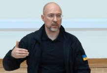 Шмигаль обговорив співпрацю в аграрній галузі з делегацією Туреччини