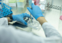 На Дніпропетровщині знижується захворюваність на ГРВІ – Лукашук