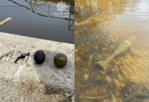 На Січеславській набережній у Дніпрі виявили боєприпаси: деталі