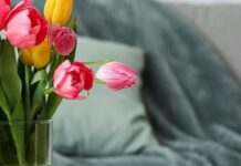 Як зберегти букет свіжим надовго: прості, але дієві лайфхаки