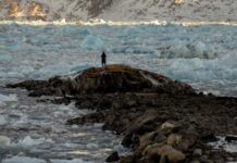 Лідер Гренландії відкинув заяви Трампа про намір приєднати острів до США