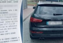 Здійснила рух на заборонений червоний сигнал світлофора: запорізькі патрульні затримали водійку, яка порушила ПДР