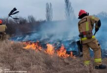 68 загорань за добу: рятувальники Дніпропетровщини продовжують боротися з пожежами в екосистемах