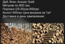 Пропонували неіснуючі послуги: поліцейські Кам’янського скерували до суду кримінальні справи відносно двох шахраїв