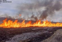 Впродовж доби вогнеборці Запорізької області ліквідували 5 пожеж на відкритих територіях