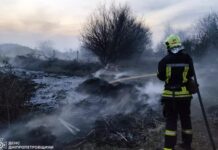 На Дніпропетровщині не вщухають пожежі в екосистемах