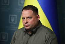 Угоду про корисні копалини буде підписано, – Фіцпатрік після розмови з Єрмаком