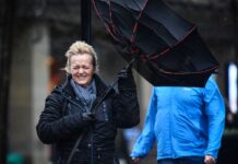 Синоптики попередили про сильні пориви вітру в Києві завтра: правила поведінки