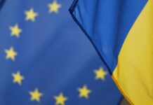 Яка українська зброя цікава Європі: відповідь Єврокомісії