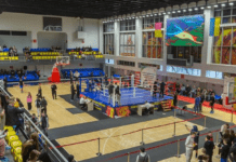 У Кам’янському відбувся фінал Кубку міського голови з боксу