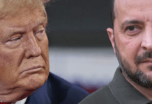 Трамп розкрив перші подробиці перемовин із Зеленським: про що говорили президенти