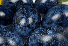 Фарбуємо яйця гібіскусом: натуральний спосіб із дивовижним ефектом