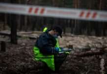 Ексгумація жертв Волинської трагедії: у Польщі назвали орієнтовну дату