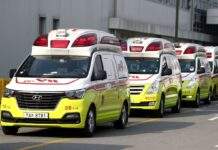 Південна Корея оголосила надзвичайний стан через лісові пожежі