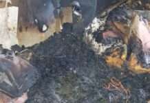 У Запоріжжі на пожежі загинув 57-річний чоловік