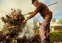 Великі штрафи та навіть в’язниця: що загрожує мешканцям Дніпропетровщини за спалювання листя та сухої трави