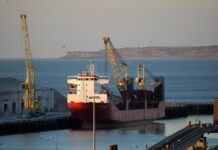 Торгові війни Трампа сповільнять економічне зростання у світі та у США, – прогноз ОЕСР