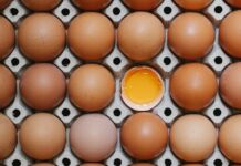 Де ви тримаєте яйця – у холодильнику чи на столі: ось чому ви робите це неправильно