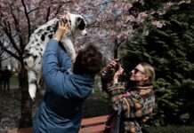 Кожен день буде з “родзинкою”. Синоптики дали прогноз на новий робочий тиждень в Україні