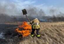 Спалювання сухої трави: які штрафи і кримінальна відповідальність загрожують українцям