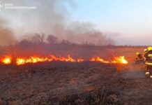 На Дніпропетровщині протягом доби ліквідували 67 пожеж в екосистемах